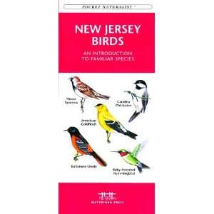  Folding Pocket Guide   New Jersey Birds: Everything Else