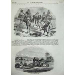   1857 Camels Simoom Stream El Arish Men Old Print: Home & Kitchen