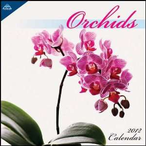  Orchids 2012 Mini Wall Calendar: Office Products