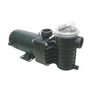 Dayton 5PXG6 Pool Pump, 1 HP, 3450, 115V:  Industrial 