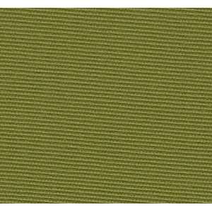  1699 Montara in Sage by Pindler Fabric