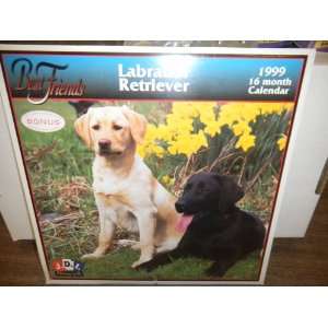   Labrador Retriever  Best Friends 1999 16mth Calendar 