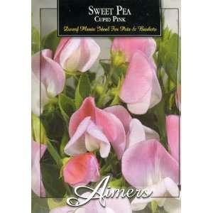  Aimers 3311 Sweet Pea Cupid Pink Seed Packet: Patio, Lawn 