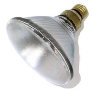   120V SPOT PAR38 Reflector Flood Spot Light Bulb: Home Improvement