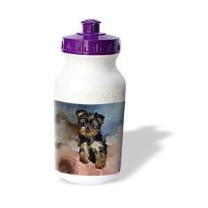  Dogs Toy Yorkie   Toy Yorkie Puppy   Water Bottles: Sports 