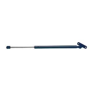  Strong Arm 4321 Hatch Lift Support: Automotive