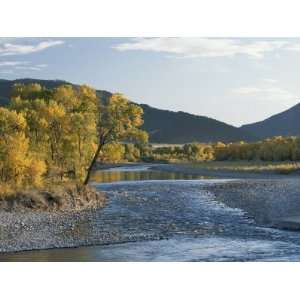  A Scenic View of the Yellowstone River with Absaroka Range 