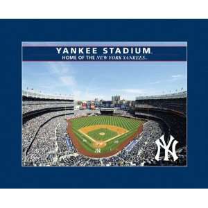  New York Yankees Stadium Puzzle: Sports & Outdoors