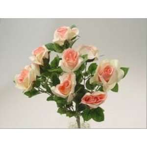  COTTAGE ROSE BUSH X 9 *****