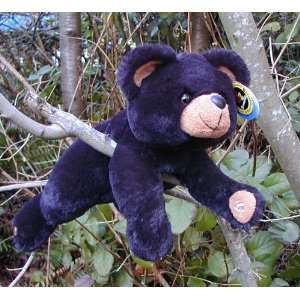  13 Plush Beamerzzz Flashlight Black Bear: Toys & Games