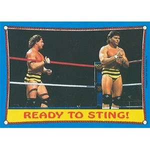  1987 WWF Topps Wrestling Stars Trading Card #62 : The 