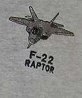 22 raptor stealth fighter  