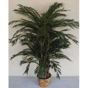  6 1/2 Real Wood Cycas Palm