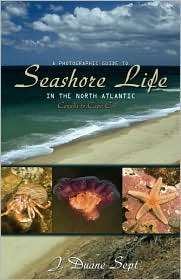Photographic Guide to Seashore Life in the North Atlantic Canada to 