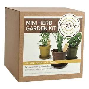  Eco Forms   Mini Herb Garden Kit (Basil Cilantro Parsley 