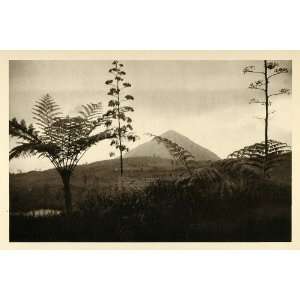  1935 Java Island Indonesia Volcano Tropical Landscape 