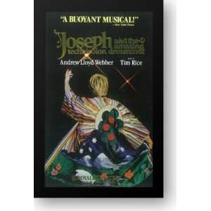 Joseph and the Amazing Technicolor Dreamcoat (Broadway) 15x21 Framed 