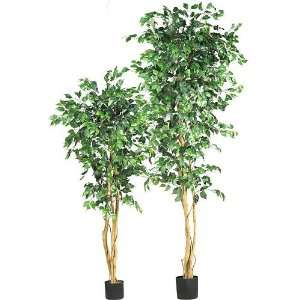  nearly natural Silk Ficus Trees: Home & Kitchen