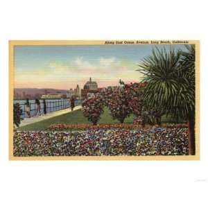   along East Ocean Avenue Premium Poster Print, 24x32