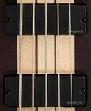  Schecter RIOT 5 Bass (Natural Satin Wenge) Musical 