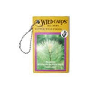  Edible Wild Foods Playing Card Deck Toys & Games