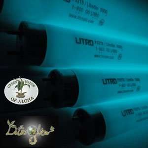  Green Hands of Aloha  LITRO GLOW   4 T8 Fluorescent Lamp 