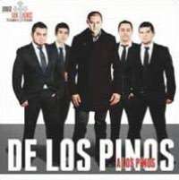   Pinos by Sony U.S. Latin, Jorge Santa Cruz y Su Grupo Quinto Elemento