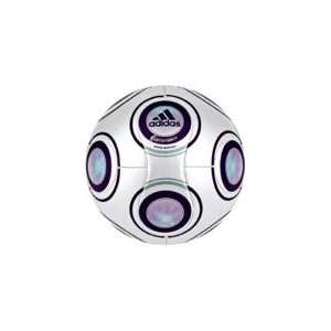 adidas TerraPass Womens Soccer Ball, Metallic White/EggPlant/MIST MET 
