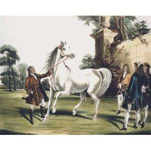  Arabian, Roxana Etching Turner, Francis Calcraft Mackrell, J R Horse 