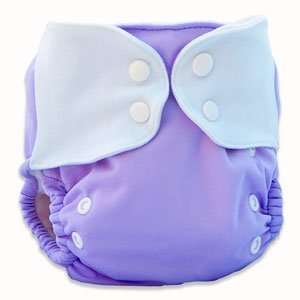   Baby All in One (One Size) Cloth Diapers (Assorted Colors): Baby