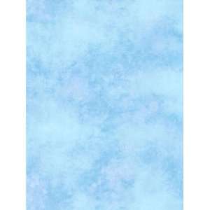  Wallpaper Brewster Whimsy II 740231: Home Improvement
