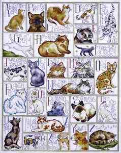   Counted Cross Stitch kit Kitten Cat 16 x 21 ~ ABC CATS 2701 Sale