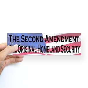  The Second Amendment, Original Homeland Security Military 