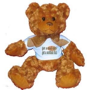   Get a scottish fold Plush Teddy Bear with BLUE T Shirt: Toys & Games