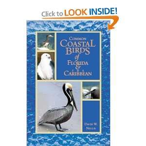   Birds of Florida & the Caribbean [Hardcover] David W Nellis Books