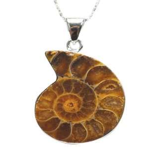   Silver Ammonite Fossil Pendant Necklaces (18 inch Chain) Jewelry