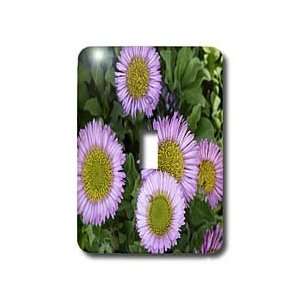 Sandy Mertens Flower Designs   Erigeron Flowers   Light Switch Covers 