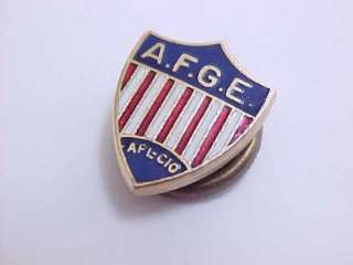 AFL CIO American Federation Gov. Employees pin  