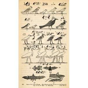  1854 Woodcuts Ancient Thebes Egyptian Bird Hieroglyphics 