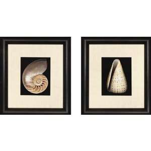  Shells by Feinstein Waterfront Art (Set of 2)   23 x 26 