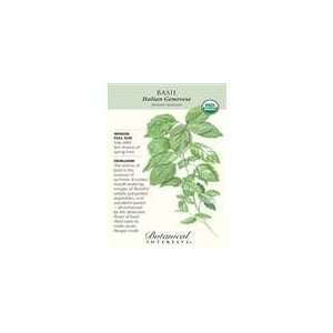     Basil Italian Genovese (Certified Organic): Patio, Lawn & Garden