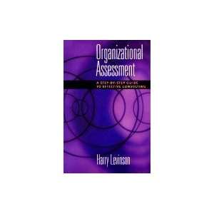 Organizational Assessment A Step by Step Guide to Effective Consulting 