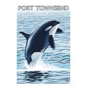  Port Townsend, Washington   Orca Jumping Giclee Poster 