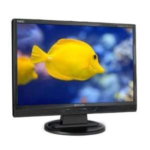   Widescreen LCD Monitor 400 cd/m2 1000:1 Built in Speakers: Electronics