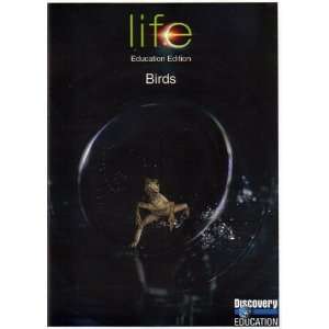  Life: Birds DVD: Movies & TV