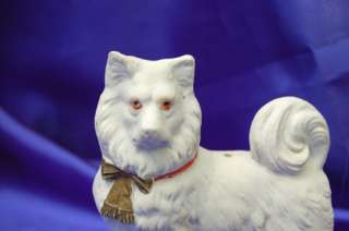  spitz american eskimo samoyed samoyede eskimo dog pomeranian dog 