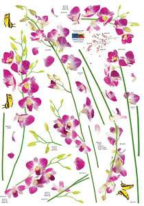 flower orchid wall decor decal stickers peel stick removable