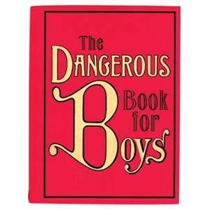  Dangerous Book For Boys Hardcover (2007) 
