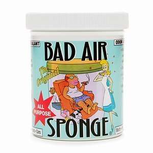 Bad Air Sponge All Purpose Odor Grocery & Gourmet Food