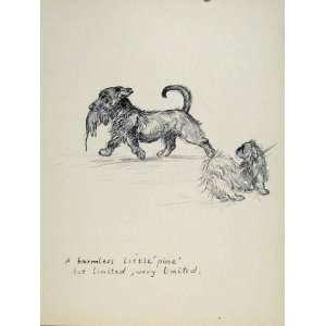  Pet Animal Dog Hound Rat Mice Hunt Sketch Print Old Art 